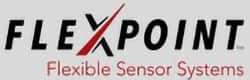 FlexPoint LOGO